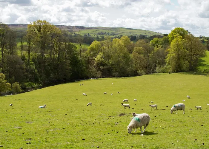 3-uk33247 Holiday home